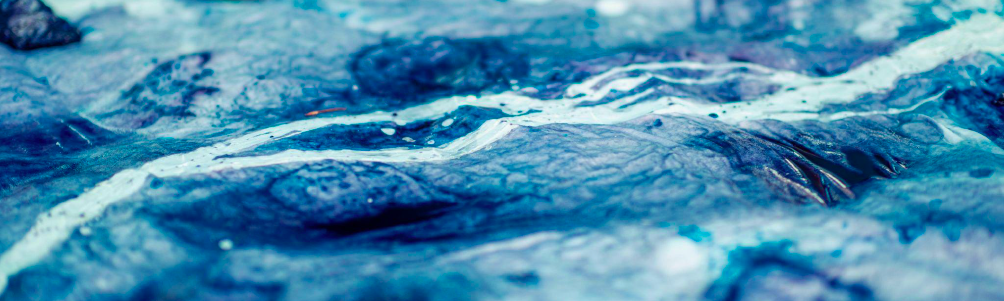 FEMINI:  Stories carried by our waters – hidrofeminista szalon, 2025. szeptember 21.